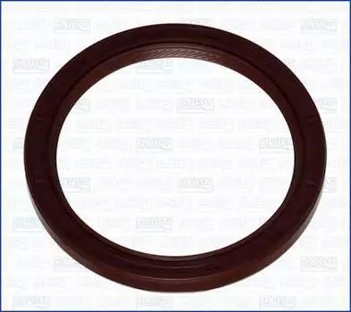 САЛЬНИК ЗАДНИЙ