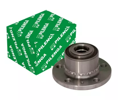 СТУПИЦА ПЕРЕДНЯЯ