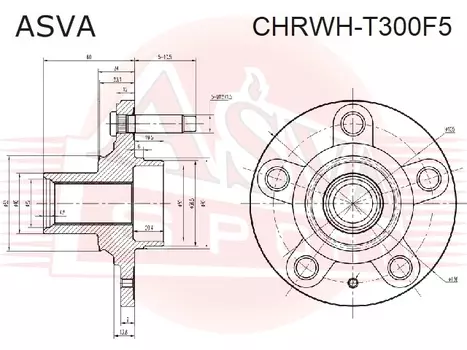 СТУПИЦА ПЕРЕДНЯЯ
