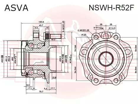 СТУПИЦА ПЕРЕДНЯЯ