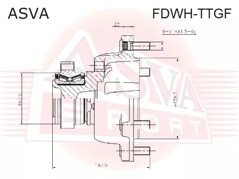 СТУПИЦА ПЕРЕДНЯЯ