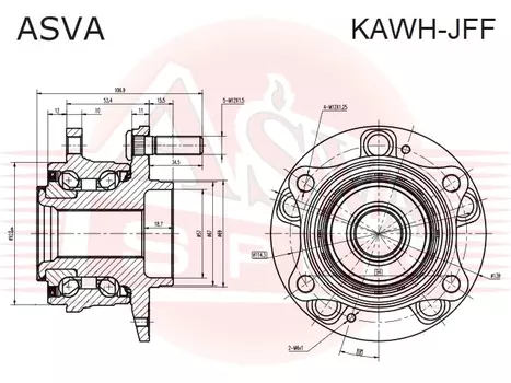 СТУПИЦА ПЕРЕДНЯЯ