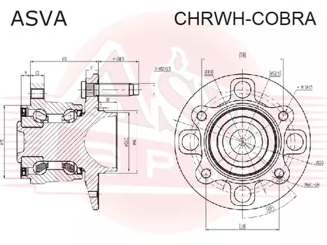 СТУПИЦА ЗАДНЯЯ
