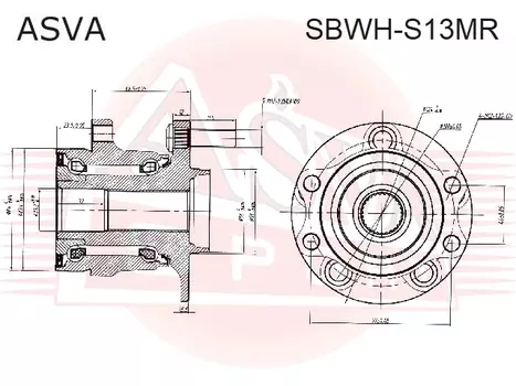 СТУПИЦА ЗАДНЯЯ