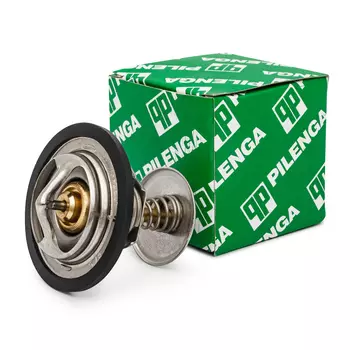 ТЕРМОСТАТ 87 ГР