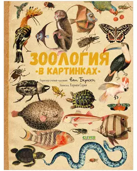 Удивительные энциклопедии. Зоология в картинках