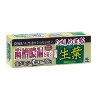 Kobayashi Паста зубная для профилактики заболеваний десен «Японский кипарис и белая береза», 100 г