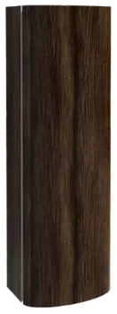 Шкаф-пенал Jacob Delafon Presquile 50 R EB1115D-V13 Палисандр шпон