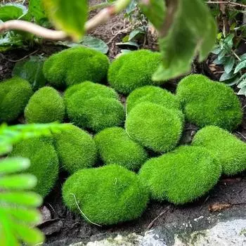 100/5 шт искусственный мох камни искусственный камень домашний декор творческие поделки зеленое имитация растений DIY украшения для сада ремесла 5PCS