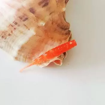 10 шт. мягкие приманки для гольяна Pesca мягкие приманки для рыбалки искусственная приманка для форели