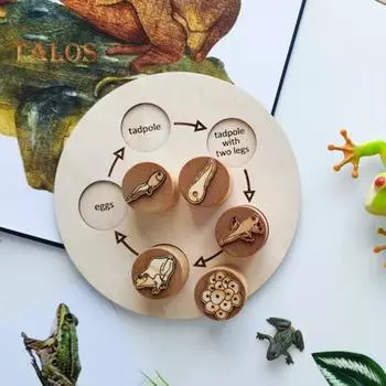 1 набор обучающий поднос с жизненным циклом животных лягушка жизненный цикл птиц дошкольное обучение деревянные блоки головоломка доска для малышей мальчики девочки обучающий диск с животными Bird