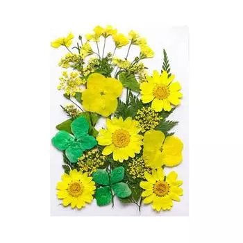 1 Set Dried Pressed Flowers Kit Colorful Natural Flowers DIY Art Crafts Supplies Resin Jewelry Epoxy Mold Candle Soap Vase Making Nail Card жёлтый