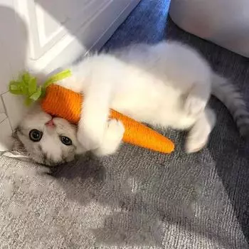 1 шт. Новые игрушки для кошек, звуковые морковки, обнимашки для кошек, палочка для прорезывания зубов у кошек, антиукусная доска для кошек, товары для животных S лосось розовый