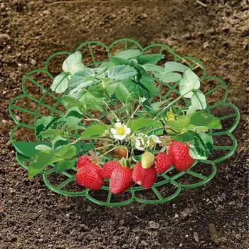 1 шт. опоры для клубничных растений, стойки для выращивания клубники, защитная рама, держатель 1PC