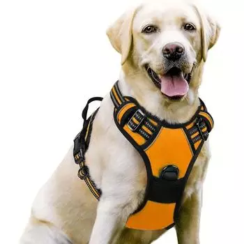 1Pc Large Dog Leash Pet Harness Nylon Dog Leash Large Dog Harness Pet Supplies S