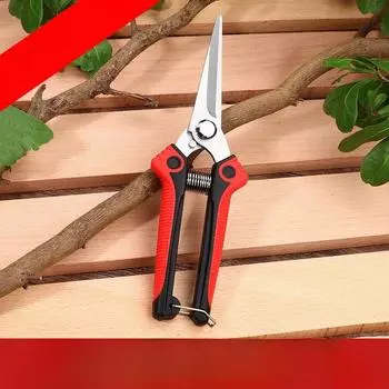 1Pc Pruning Shear Branch Scissors Stainless Steel Non-Slip Handle Sharp Garden Fruit Tree Pruning Garden Tools