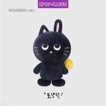 [2024 RIIZE FANCON RIIZING DAY FINALE 2nd MD] КУКЛА 40 СМ [версия Wonbin] 1ea
