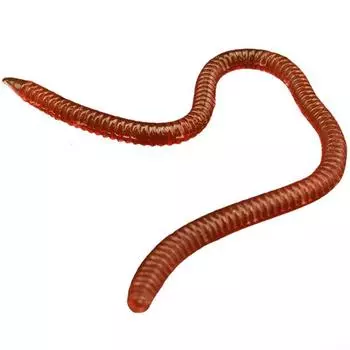 20 шт искусственная приманка 8 см/10 см 9,7x5,2x1,3 см приманки 8cm