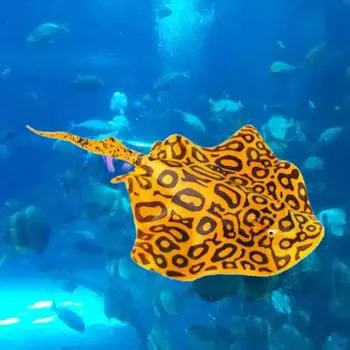 2pcs Luminous Simulation Fish Floating Silicone Animal Sculpture Miniatures Statue Living Room синий