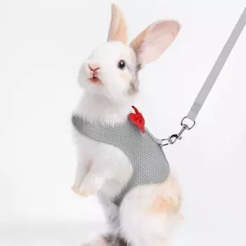 2pcs No Pull Rabbit Harness and Leash Set Soft Pet Chest Strap Escape Proof Pet Harness Hamsters M чёрный