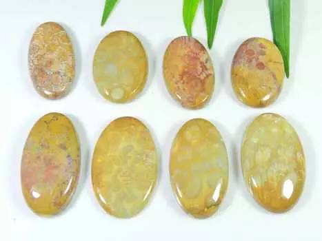 30-35 мм натуральный ископаемый коралл овальной формы кабошон драгоценный камень россыпью 8 шт. лот RQ-2968