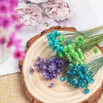 30 шт. Мини-ромашки пампасы маленькая звезда сухоцветы букет цветочный декоративный свадебный домашний стол украшение своими руками ручная работа ремесла
