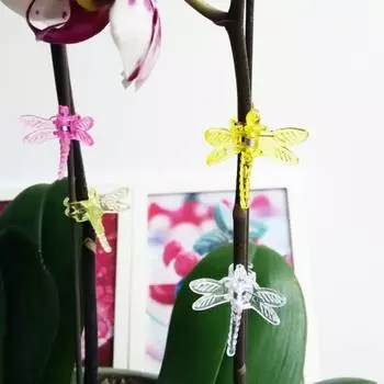 30 шт. зажимы для поддержки сада, съемные универсальные пластиковые зажимы для фиксации лозы для выращивания орхидей для сада A