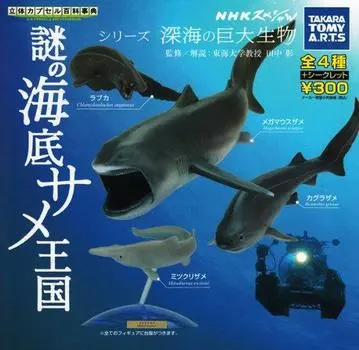 3D Capsule Encyclopedia NHK Special Mysterious Undersea Shark Kingdom All 5 Types Set Gacha Gacha