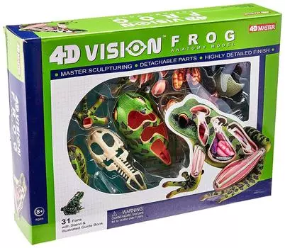 3D пазл 4D VISION Анатомия животных Модель анатомии лягушки [Предмет]