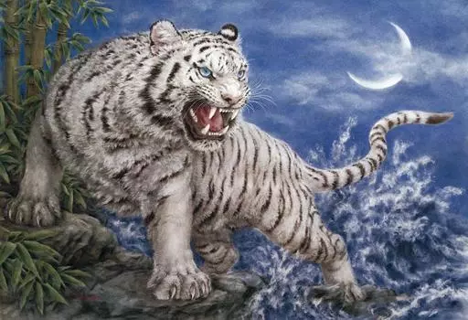 450 Piece Jigsaw Puzzle Puzzle Master Kayomi Harai Nishikata Byakko Small Piece (26x38cm)