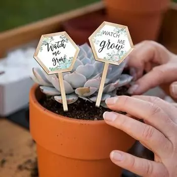 48 шт. этикетка в горшке Let Love Grow печать шестигранные деревянные колья для растений для свадебных сувениров украшения сада B