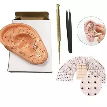 4 в 1 Модель акупунктуры уха Ear Press Seed Ear Probe Set 13 см Ухо Аурикулярные акупунктурные точки Модель