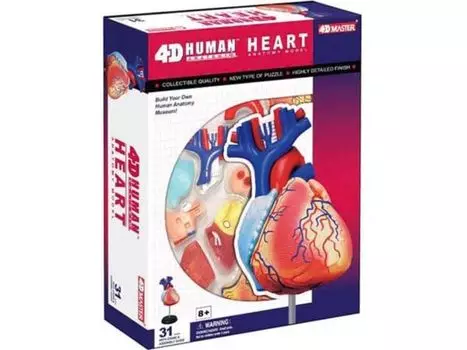 4D 3D Puzzle Human Anatomy Model Heart 4D Human 626004 Heart Anatomy Model Fame Master 4D master Educational Toy STEM