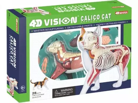 4D Vision Calico Cat Анатомическая модель 4D VISION 622040 Calico Cat Анатомическая модель Fame Master 4D master Обучающая игрушка STEM