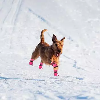4pcs Dog Cat Cotton Shoes Waterproof Winter Dog Boots Anti-slip Puppy Rain Snow Booties Chihuahua Footwear for Small Pet Shoes 1 красный