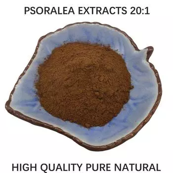 500 г чистого экстракта псоралеи 20:1 Порошок