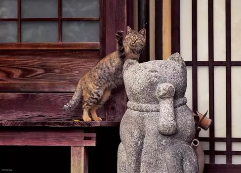 500 Piece Jigsaw Puzzle Mitsuaki Iwago Cat Kyoto (38x53cm)