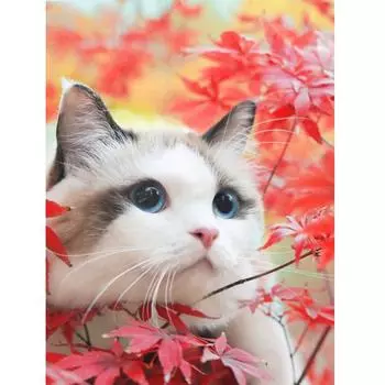 5D Алмазная картина «Кошка под кленом» DIY Кубик Рубика Алмазная вышивка Мозаика Подарок 20X30CM