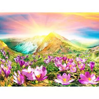 5D DIY Алмазная мозаика Полный дисплей Цветочный пейзаж Алмазная вышивка Алмазная картина Украшение дома 20X30CM