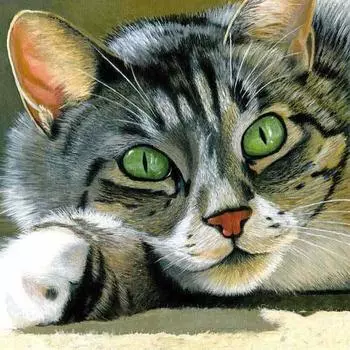 5d Diy Broderies Diamants Cat Мультфильм Подарок Украсить Алмазную Мозаику Картина Полная Алмазная Вышивка 30x30