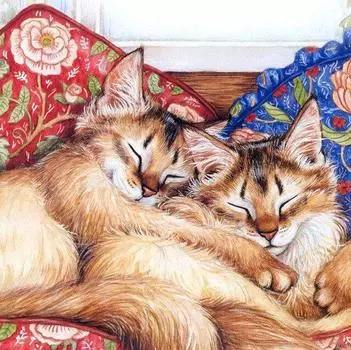 5d Diy Cat Мультфильм Broderies Diamants Подарок Животное Алмазная Мозаика Картина Полная Алмазная Вышивка 20X30