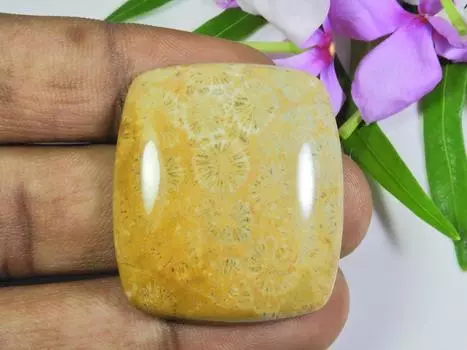 60Cts. Натуральный ископаемый коралл прямоугольный кабошон россыпью драгоценный камень 31X35X07 мм SK-649