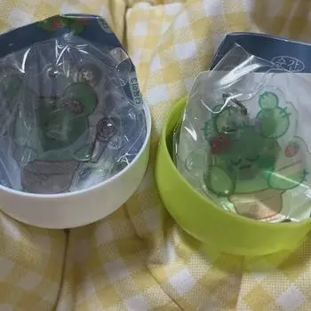 A Batch Of Iu Instant Succulent Keyring