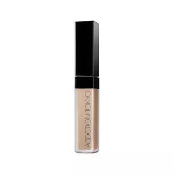 ADDICTION Skin Reflect Fix Concealer Консилер 005 6,5 мл