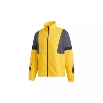 Adidas Спортивная куртка Мужская Верхняя одежда Золото GP6402 M