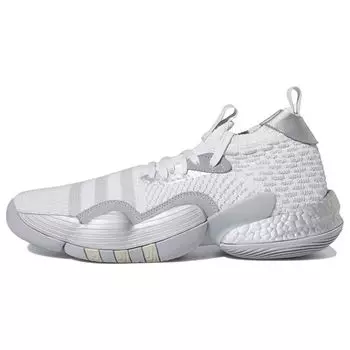 Adidas Trae Young 2 Dash Grey Мужские кроссовки Halo-Silver Matte-Silver HQ0997 48