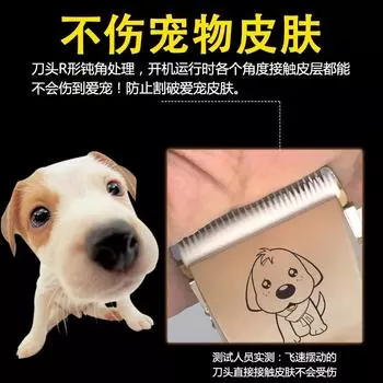 Аккумуляторная стрижка кошек Pet Electric Fader Бритва для собак Pet Electric Push Scissor золотистый