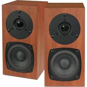 Акустическая система FOSTEX Kanspi с высоким разрешением, совместимая с P802-S