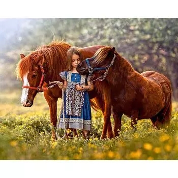 Алмазная картина, вышивка, девушка, светодиодная лошадь, вышивка крестом, горный хрусталь, мозаика, домашний декор, подарок 20X30CM