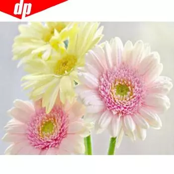 Алмазная мозаика Яркий цветок 5D DIY Красочная алмазная живопись Вышивка Стразы Декор 20X30CM
